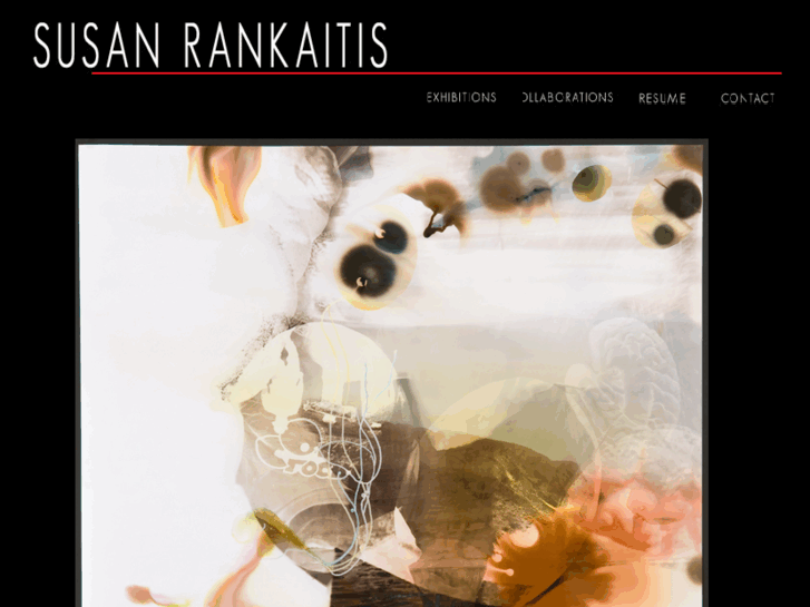 www.susanrankaitis.com