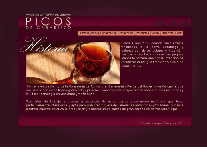 www.vinosylicorespicos.com