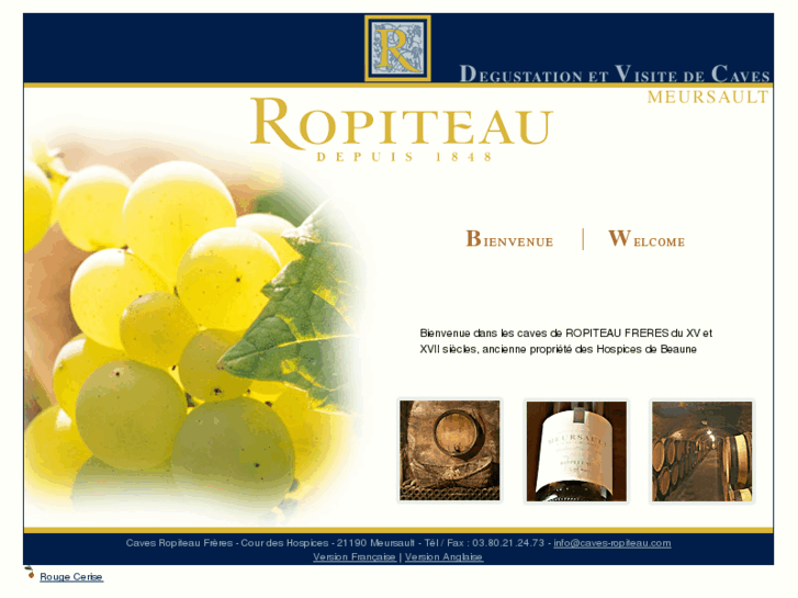 www.caves-ropiteau.com