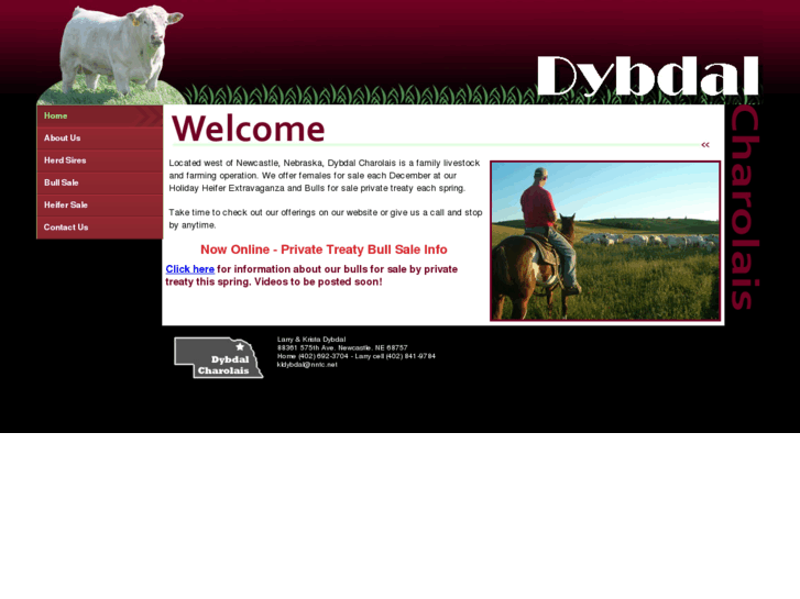 www.dybdalcharolais.com