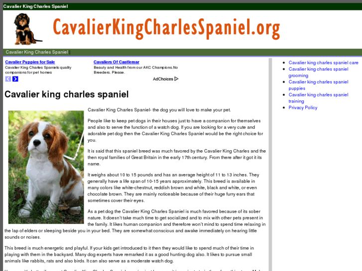 www.cavalierkingcharlesspaniel.org