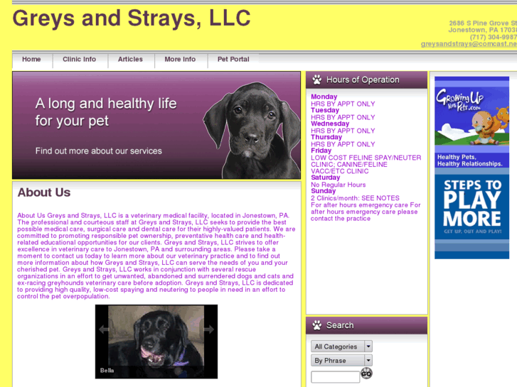 www.greysandstrays.com