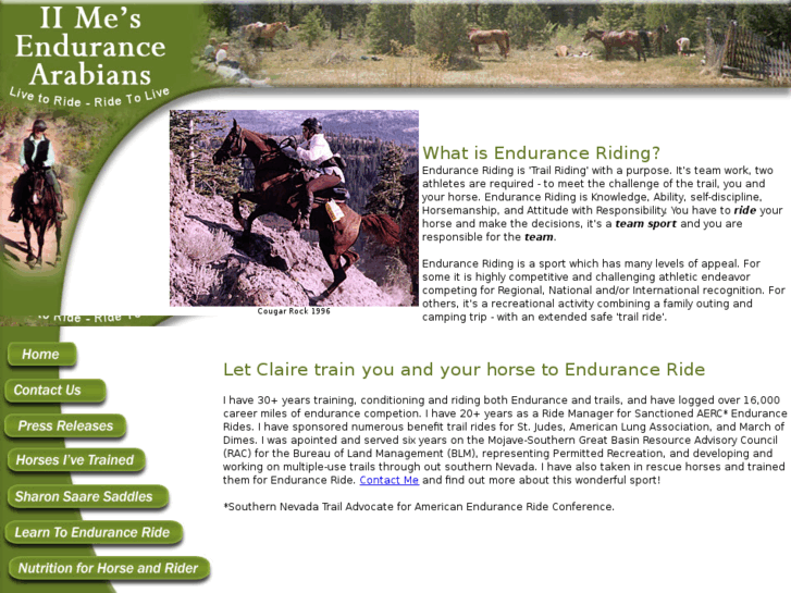 www.iimesendurancearabians.com