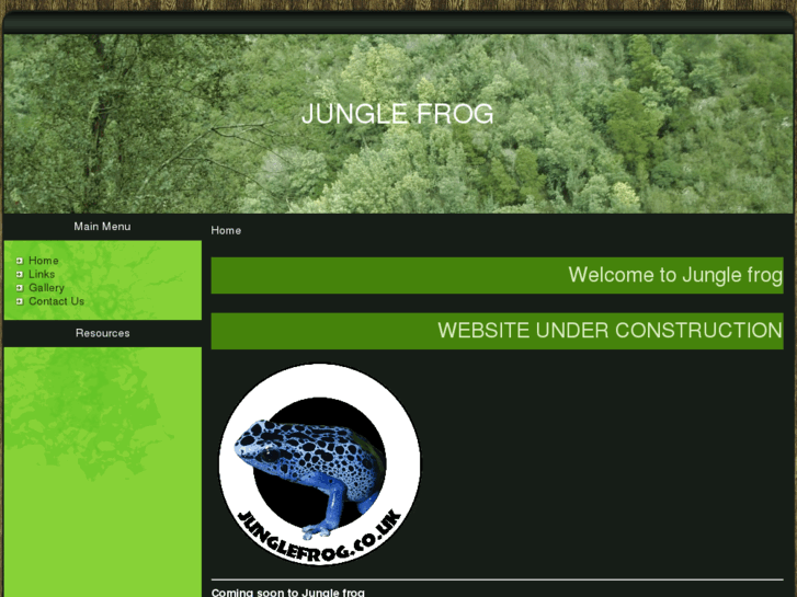 www.junglefrog.co.uk