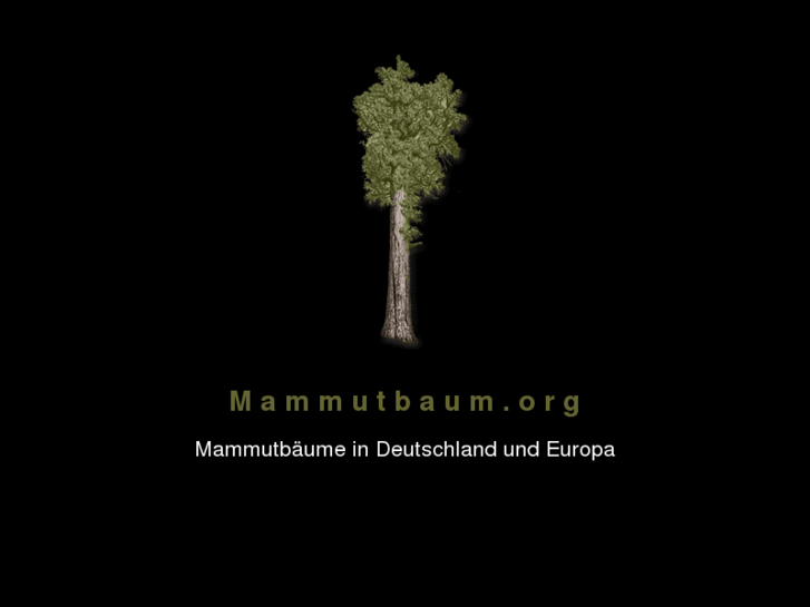 www.mammutbaum.org