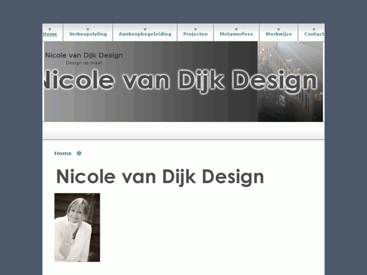 www.nicolevandijkinteriors.com