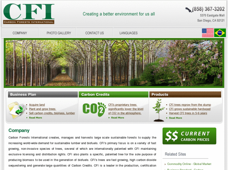 www.carbonforestsinternational.com