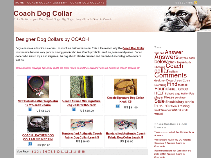 www.coachdogcollar.com