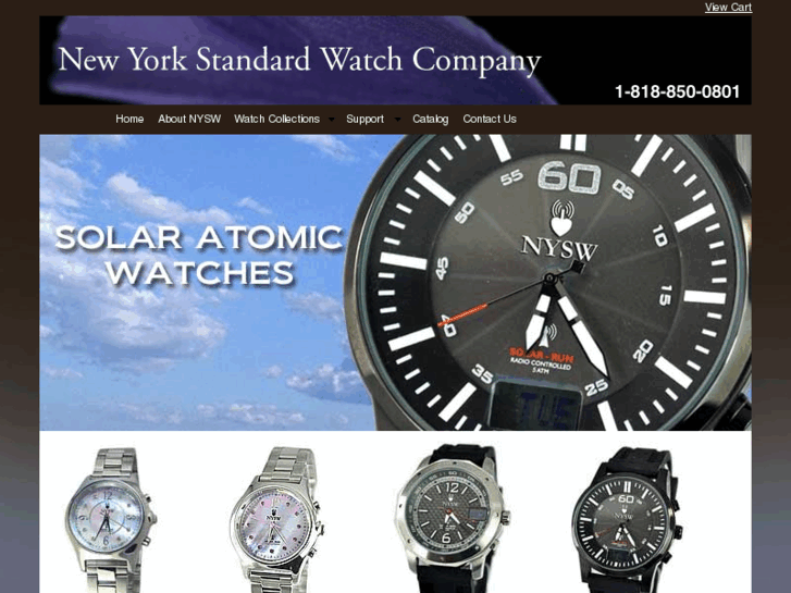 www.newyorkstandardwatch.com