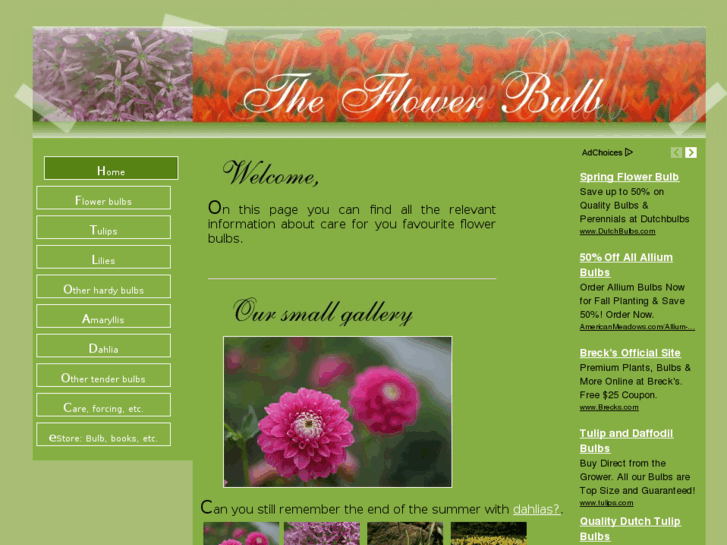 www.theflowerbulb.com