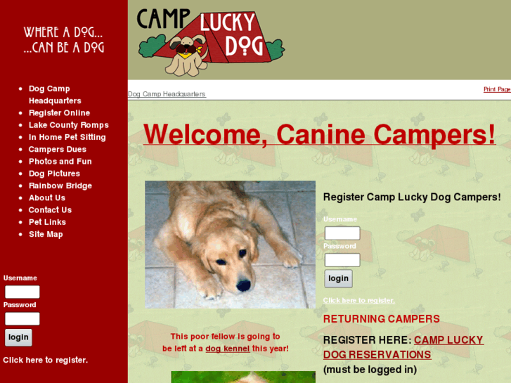 www.campluckydog.com