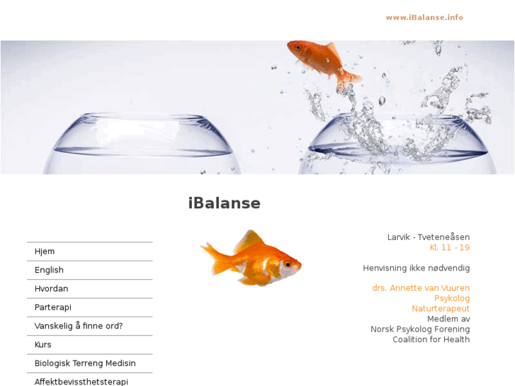 www.ibalanse.info