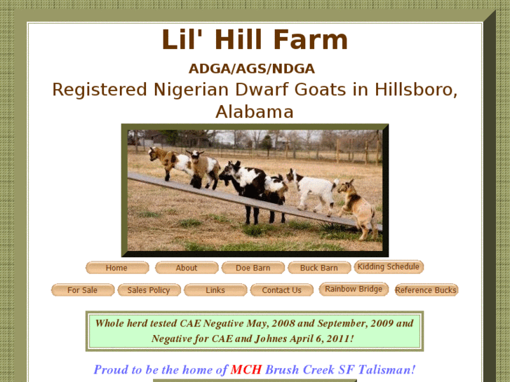 www.lilhillfarm.com