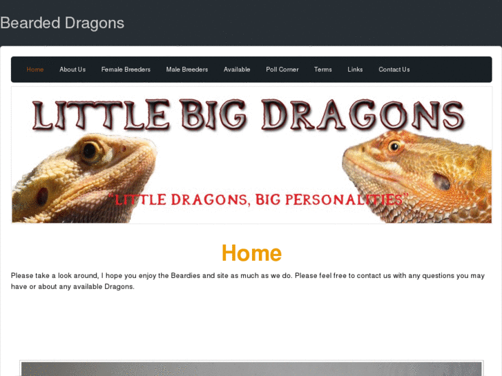 www.littlebigdragons.com