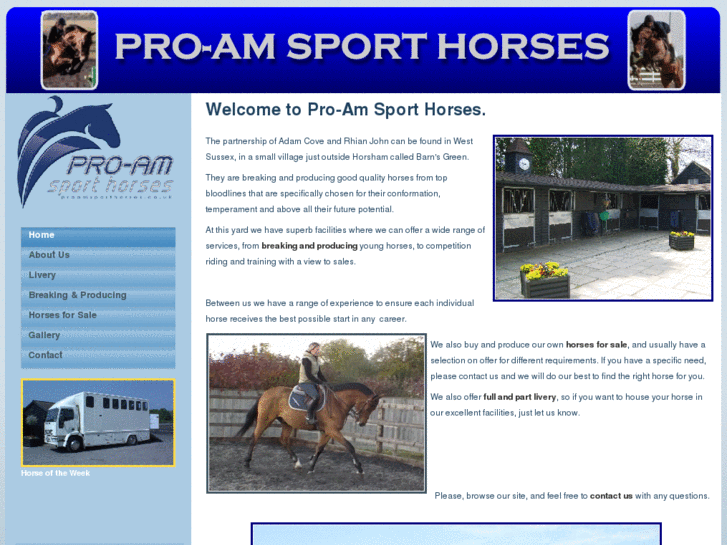 www.proamsporthorses.com