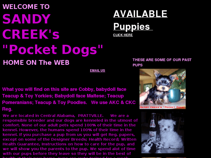 www.sctoydogs.com