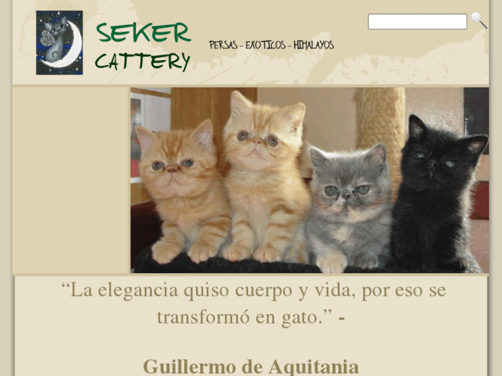 www.sekercattery.com