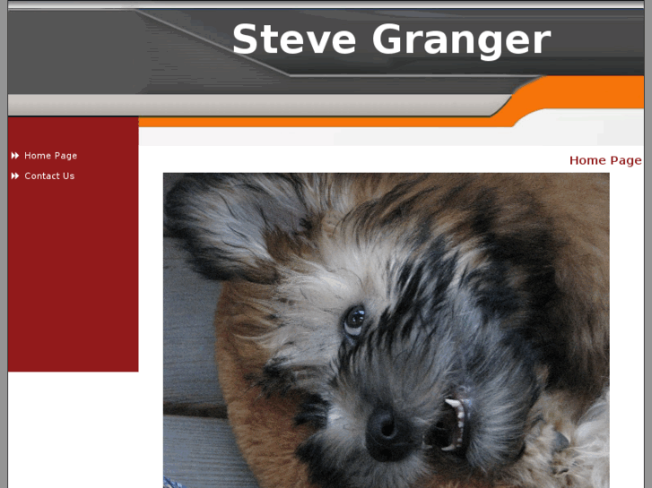 www.stevegranger.com