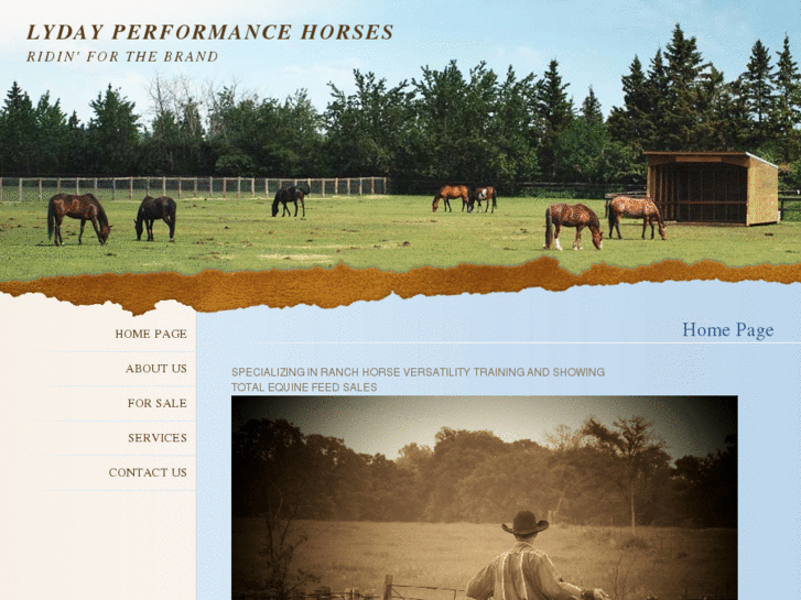 www.lydayperformancehorses.com