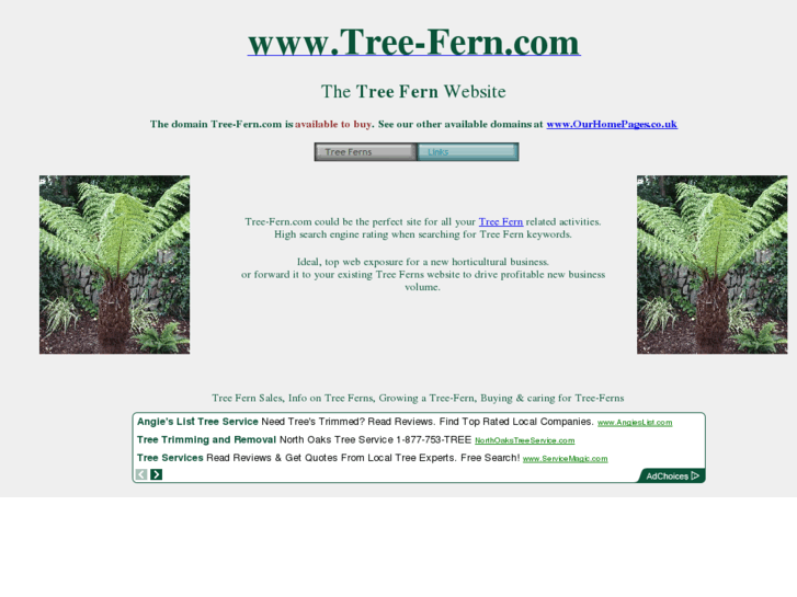www.tree-fern.com