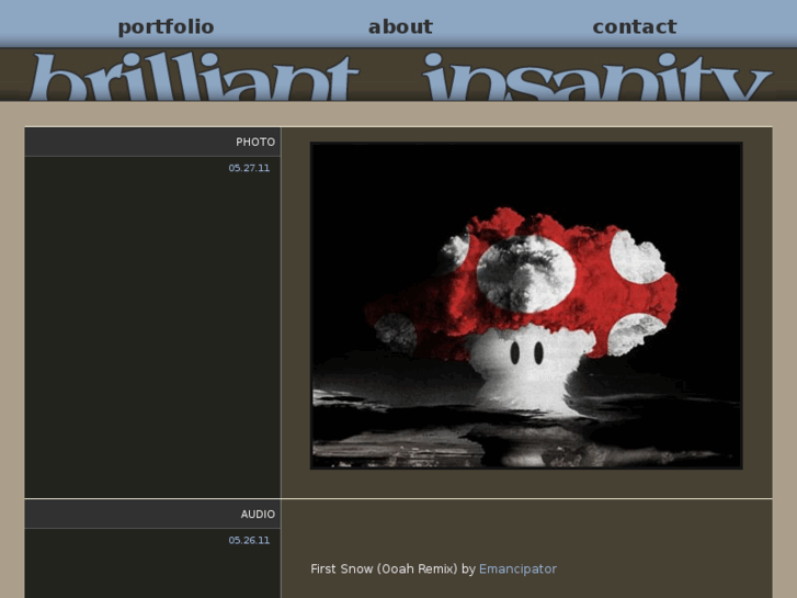 www.brilliantinsanity.com