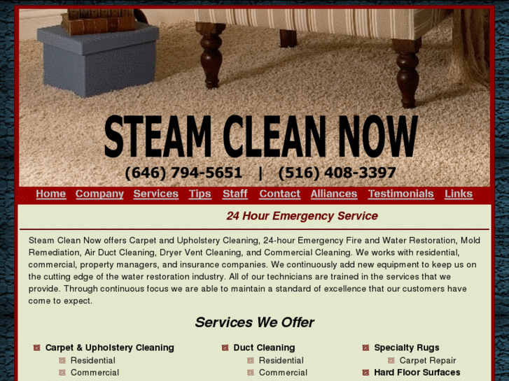 www.carpetsteamcleanersny.com