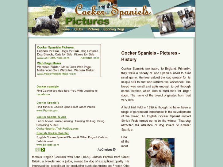 www.cocker-spaniels-pictures.com