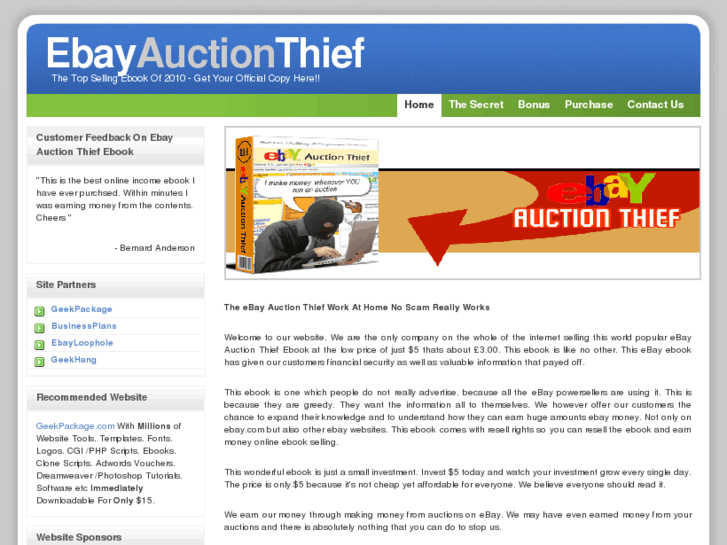 www.ebayauctionthief.com