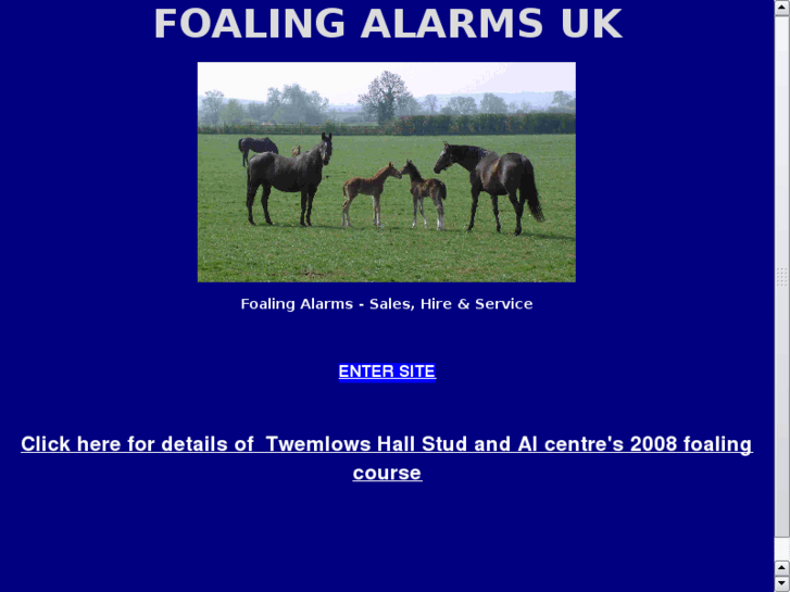 www.foaling-alarms.com