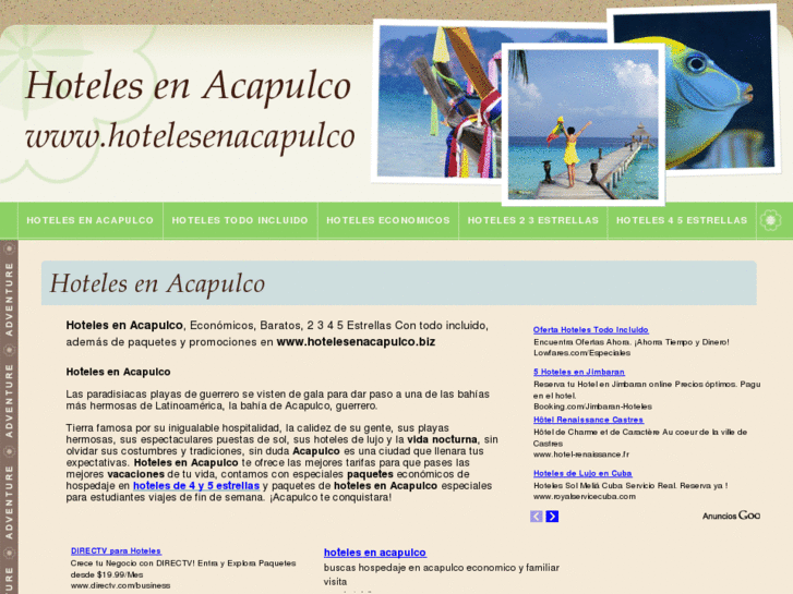 www.hotelesenacapulco.biz