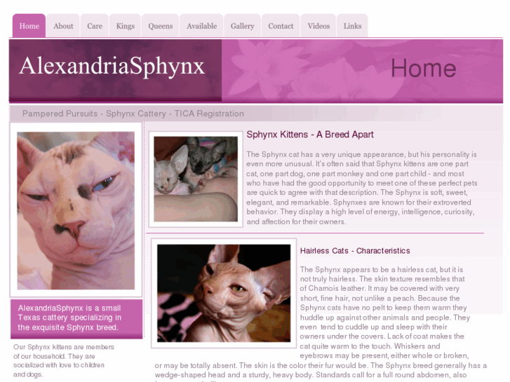 www.perfectsphynx.com