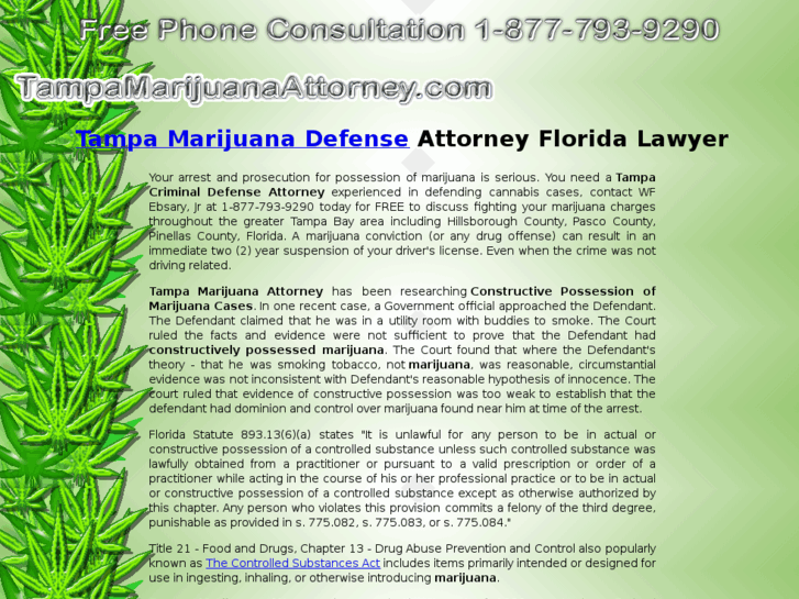 www.tampamarijuanaattorney.com