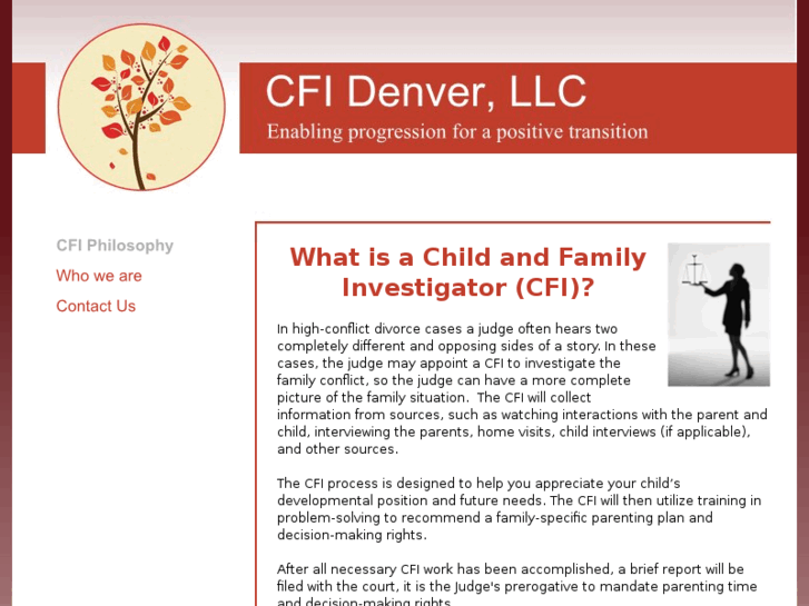 www.cfiprofessional.com