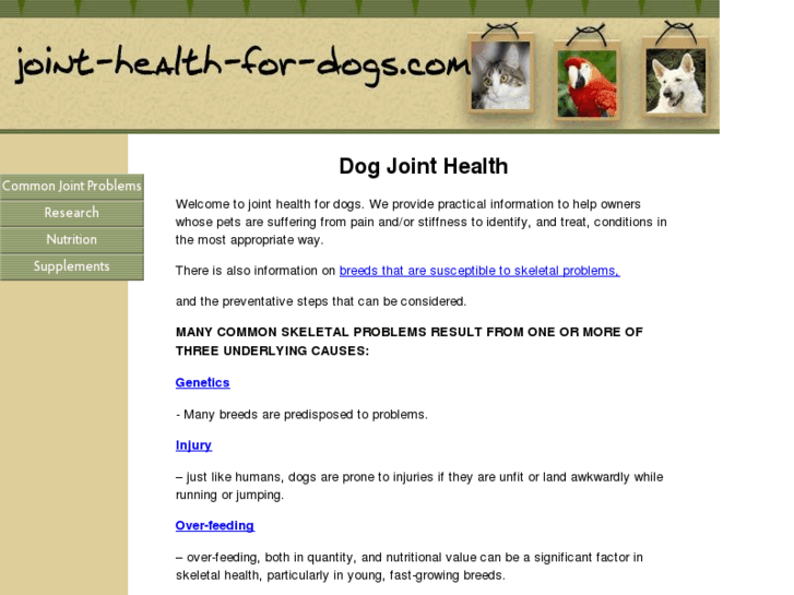 www.joint-health-for-dogs.com