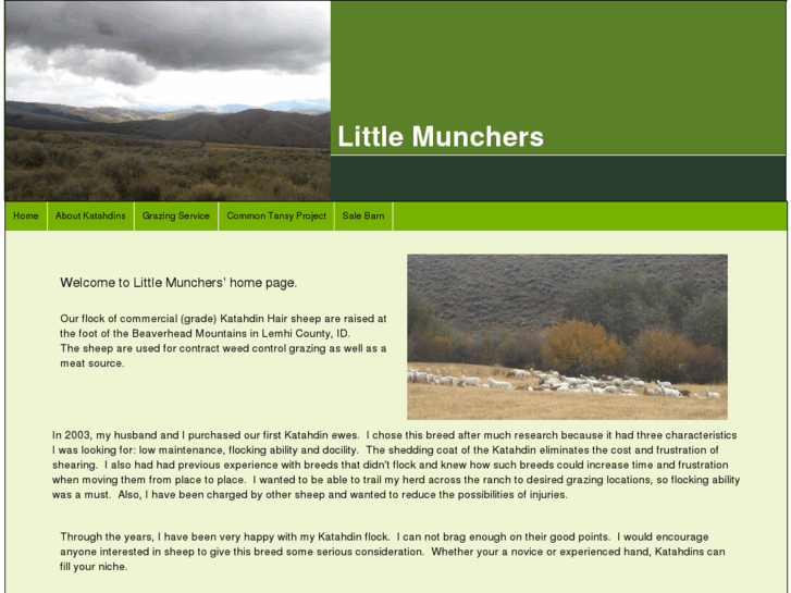 www.littlemunchers.com