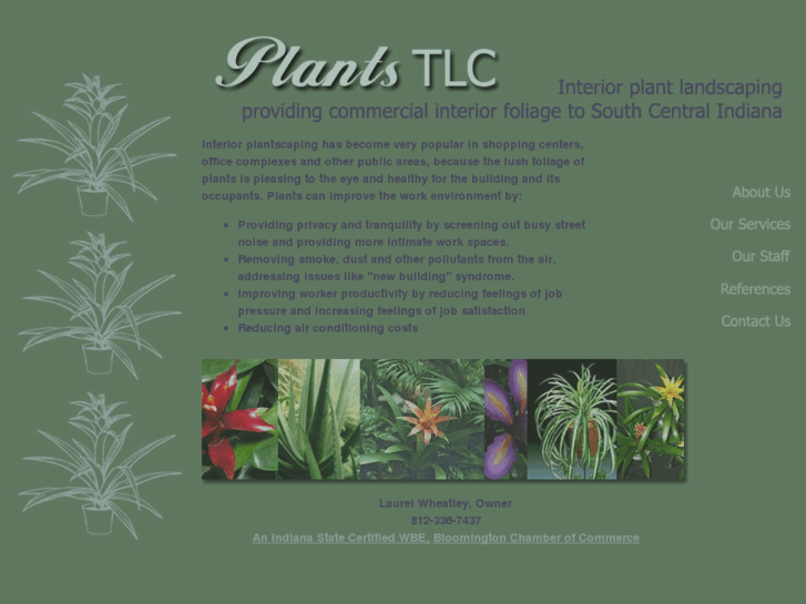 www.plantstlc.com