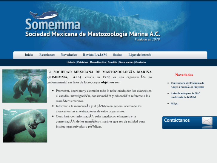 www.somemma.org