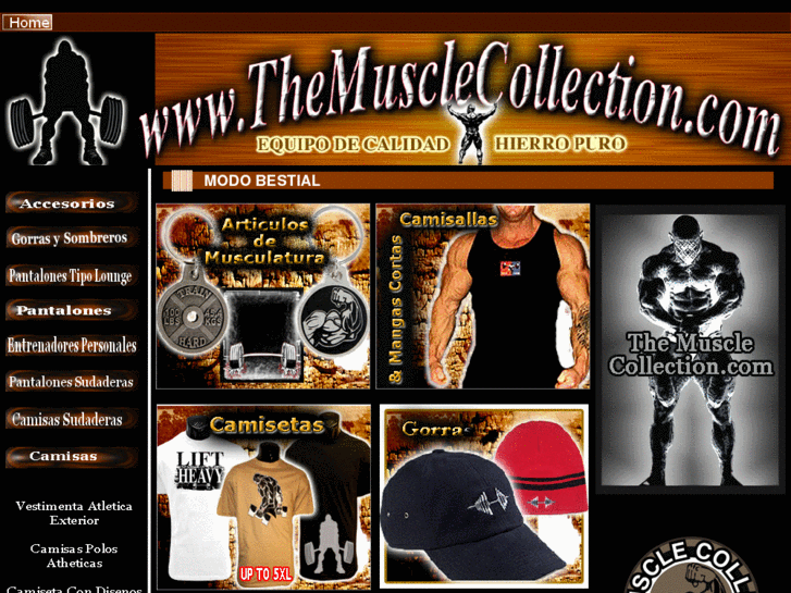 www.themusclecollection.net