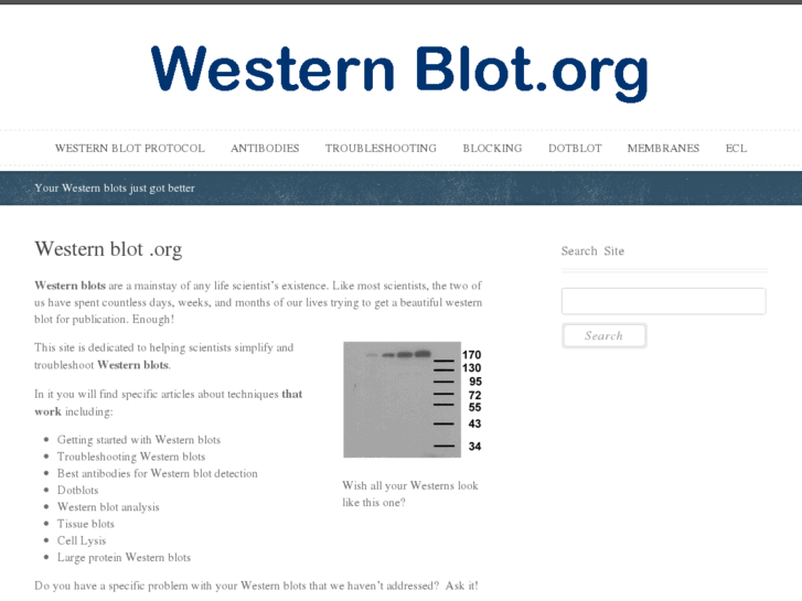 www.westernblot.org