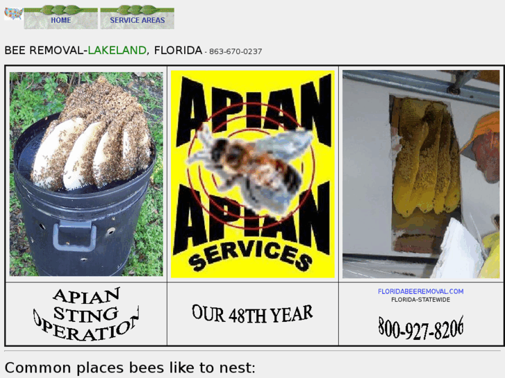 www.beeremoval-lakeland.com