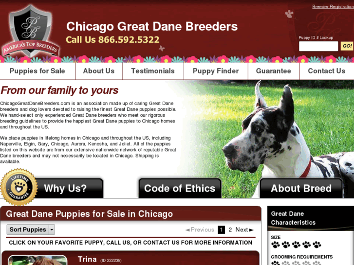 www.chicagogreatdanebreeders.com