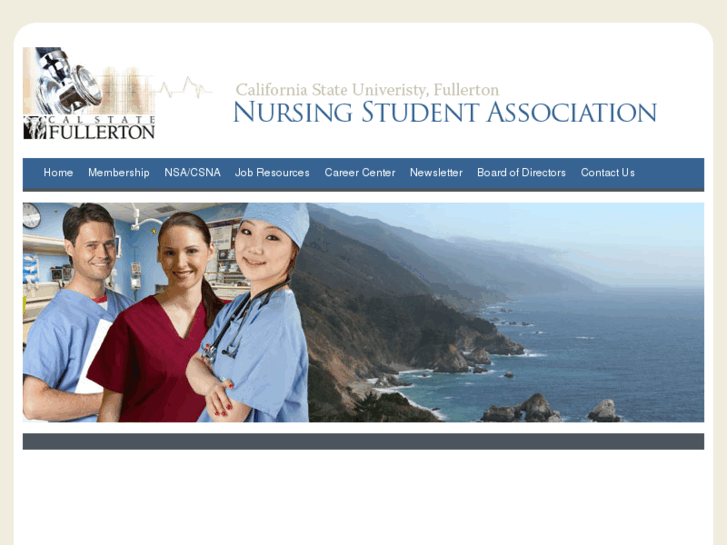 www.csufnursingstudents.com