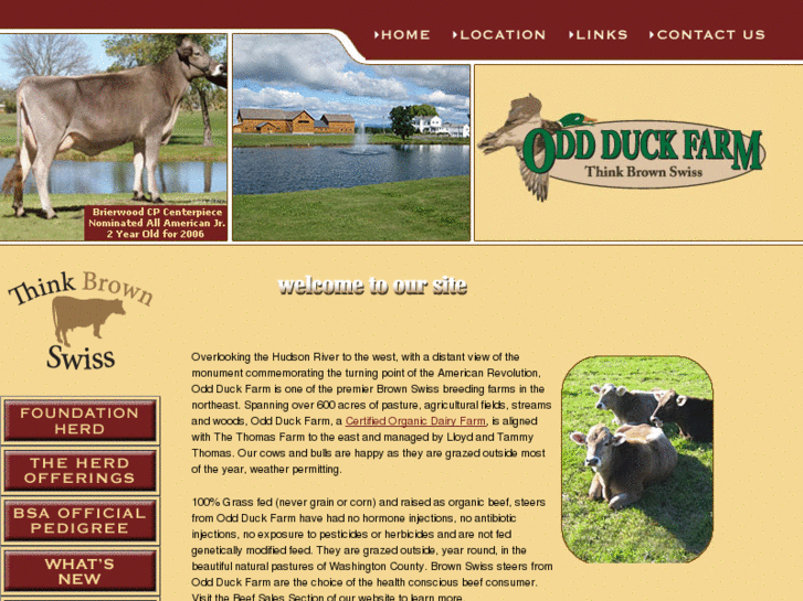 www.oddduckfarm.com