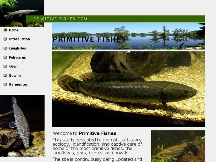 www.primitivefishes.com