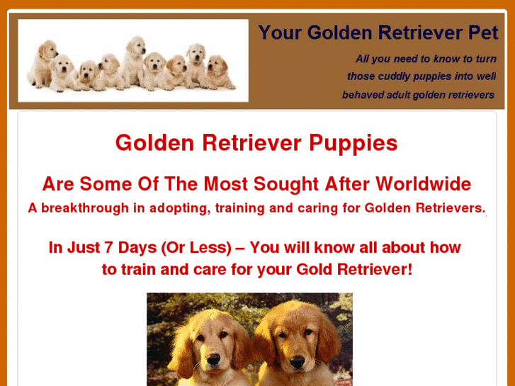 www.yourgoldenretrieverpet.com