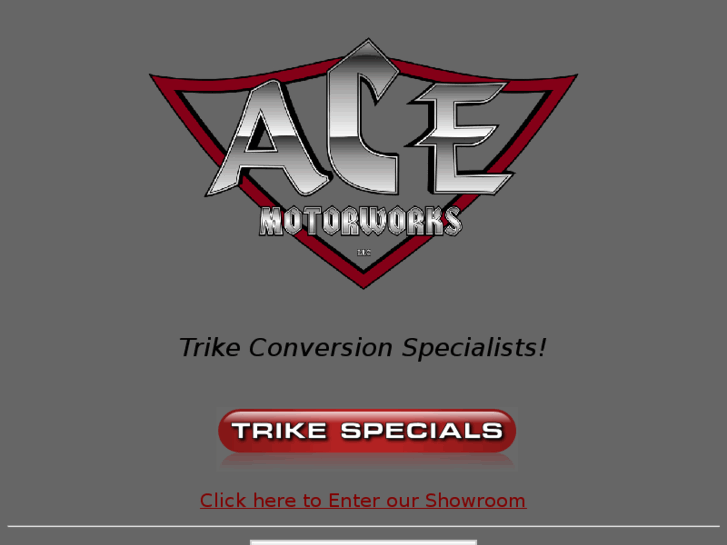 www.acemotorworks.com