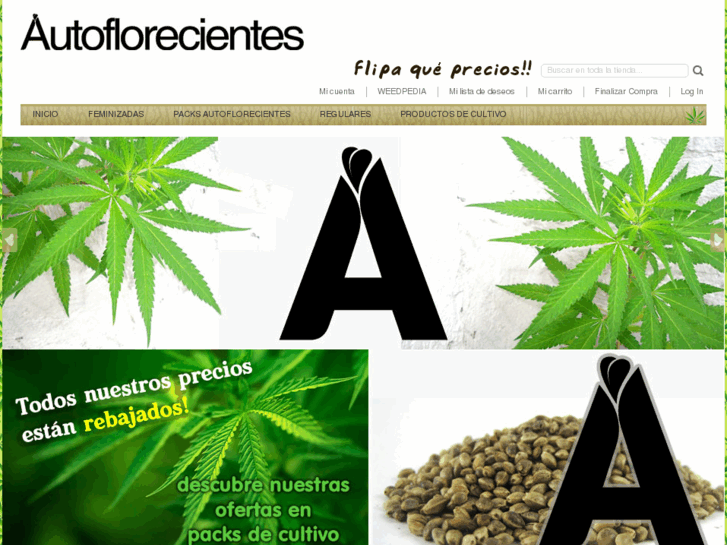 www.autoflorecientes.es