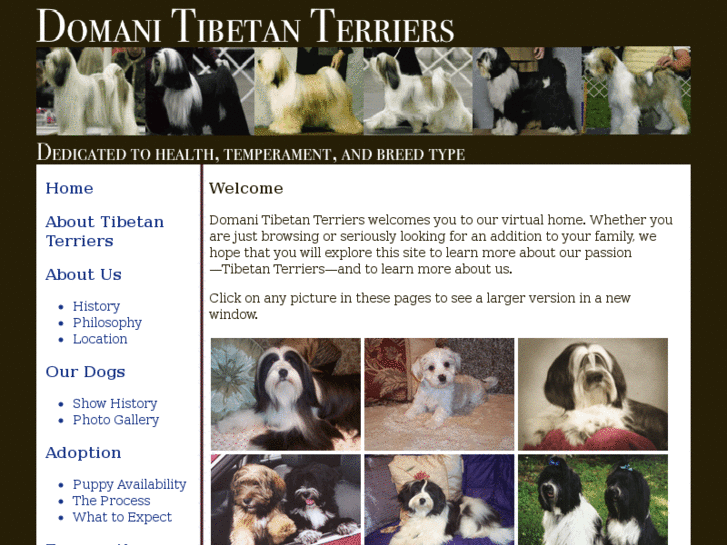 www.domani-tibetan-terriers.com