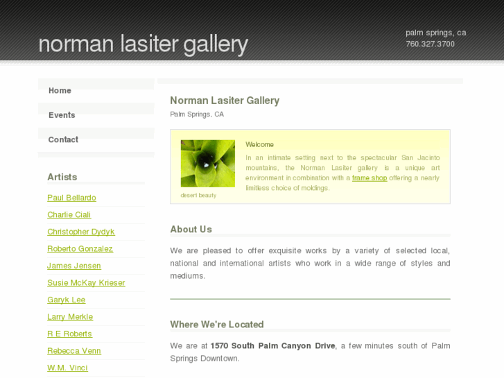 www.normanlasitergallery.com