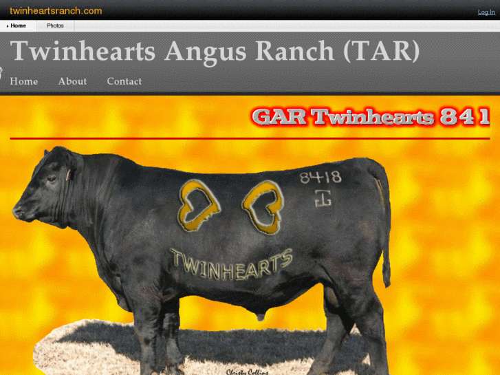 www.twinheartsranch.com